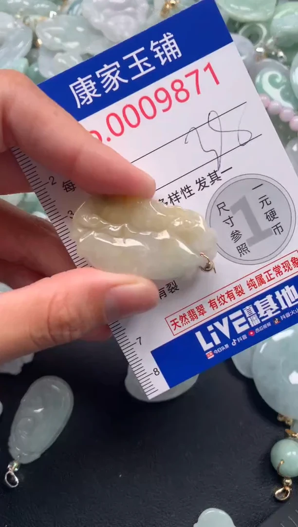 颈饰未镶嵌翡翠9871