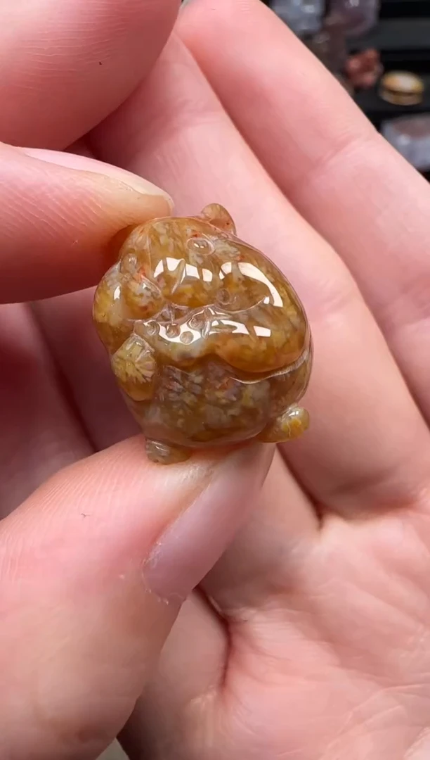 颈饰未镶嵌硅化珊瑚（珊瑚玉）035