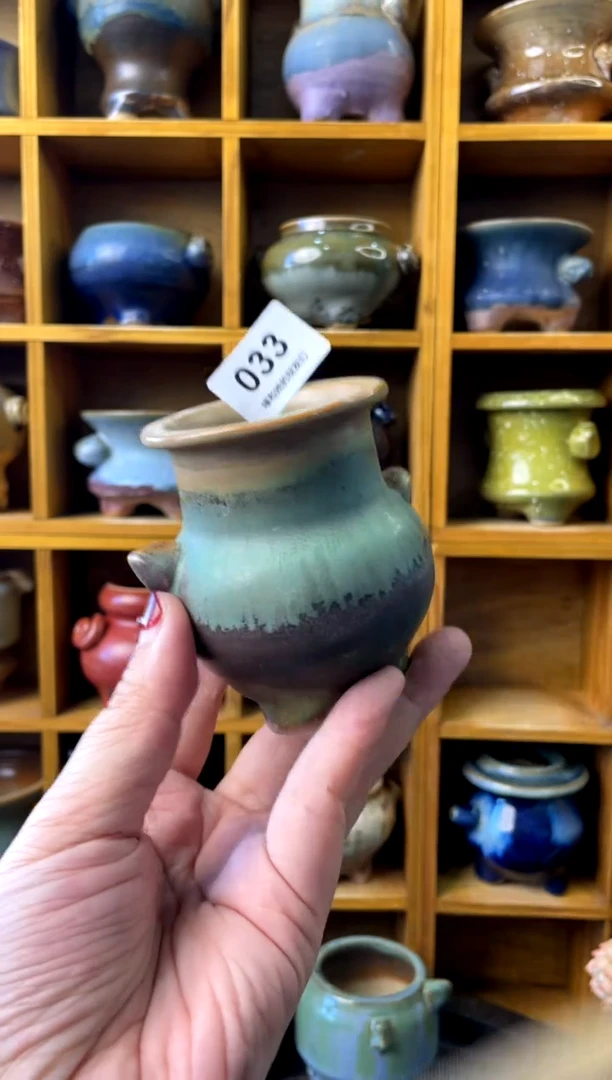 【闪购商品】陶033 内口5【 来自成人礼的特 】