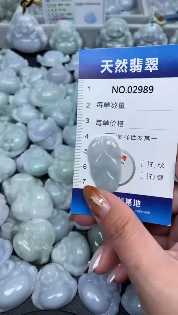 颈饰未镶嵌翡翠纯天然A货翡翠2989