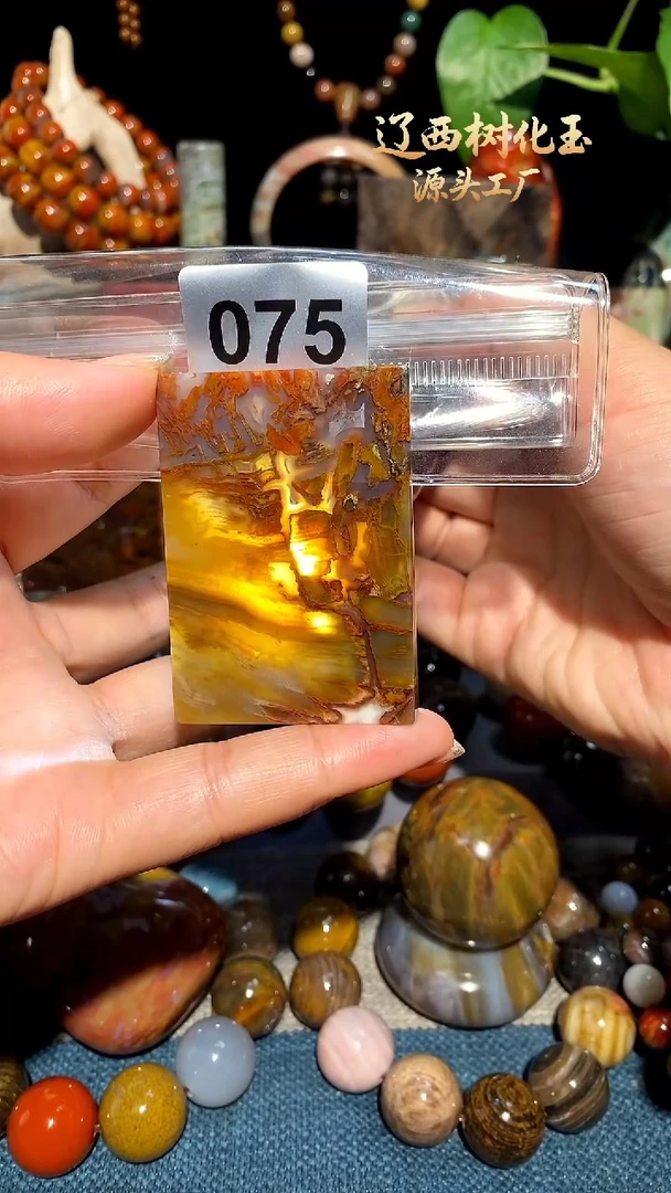 未镶嵌-硅化玉天然北票硅化玉吊坠