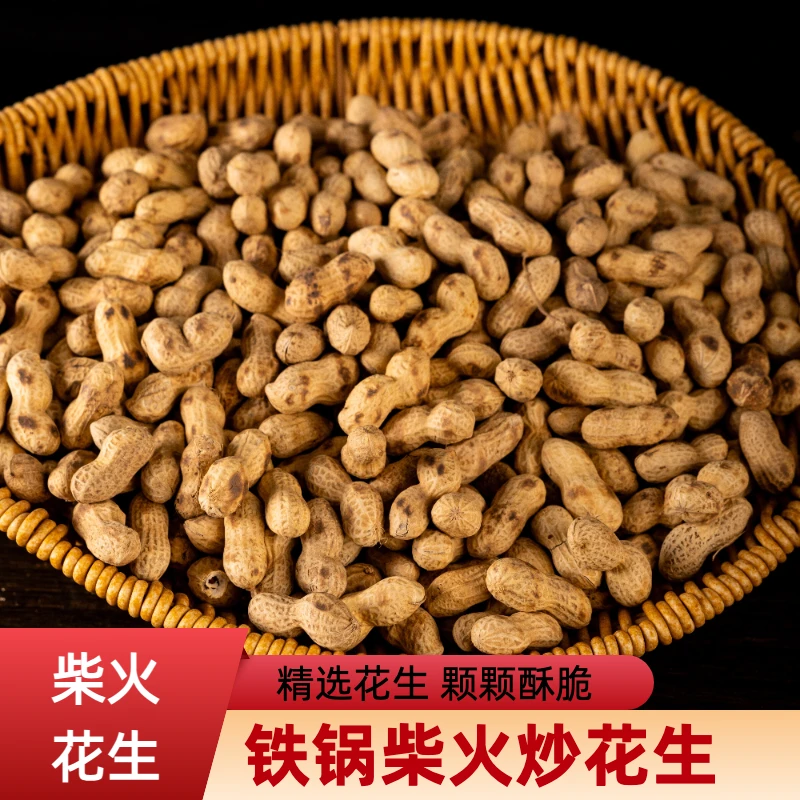 柴火铁锅现炒原味带壳小珍珠花生香酥可口下酒零食