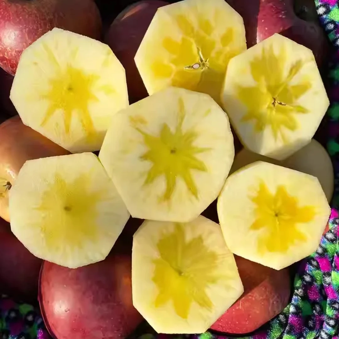 PN23【全国次日达】正宗云南丽江宁蒗高山丑苹果脆甜多汁新鲜脆甜产地直发云南省云南省