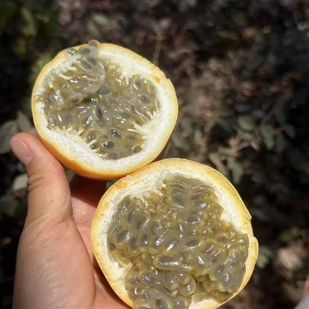 A云南热情果云南西双版纳热情果稀奇水果纯甜无酸新鲜水果热情果