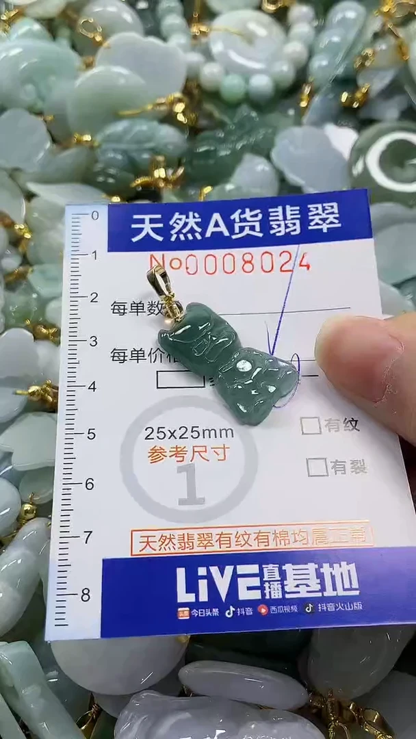 颈饰未镶嵌翡翠纯天然a货翡翠