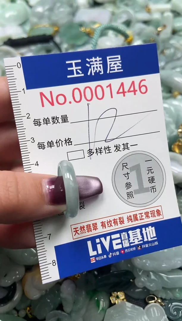 颈饰未镶嵌翡翠1446