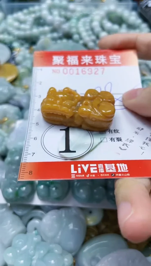 【闪购商品】翡翠颈饰未镶嵌闪购0016927