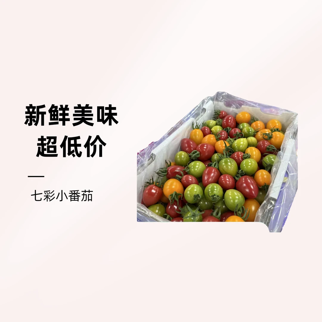 七彩小番茄小番茄2.2斤番茄同城配七彩小番茄上海市