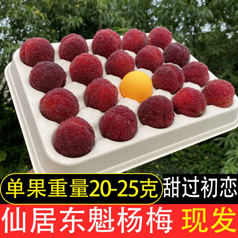 【9A仙居杨梅】拍60颗送30颗18g-25g现货现发东魁精品礼盒顺丰包邮