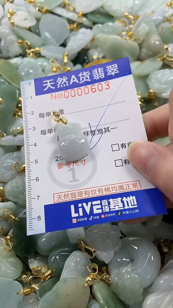 颈饰未镶嵌翡翠纯天然a货翡翠