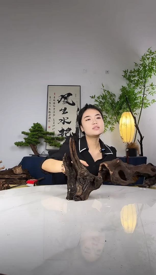 感**我拍这个定向编号52