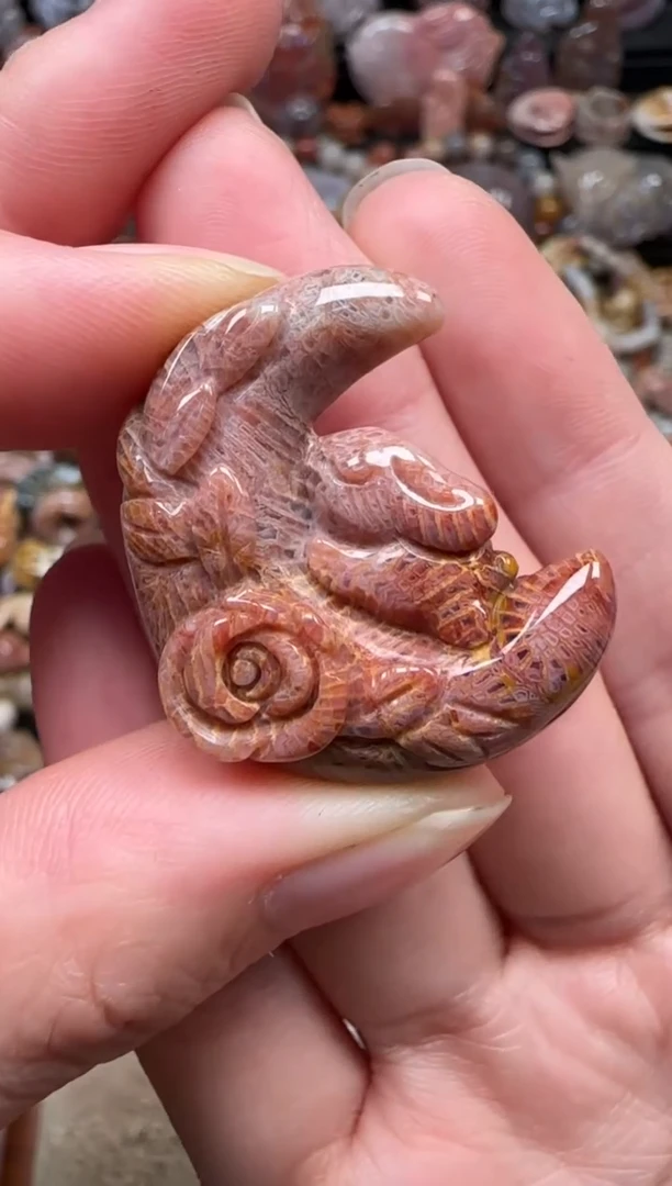 颈饰未镶嵌硅化珊瑚（珊瑚玉）204