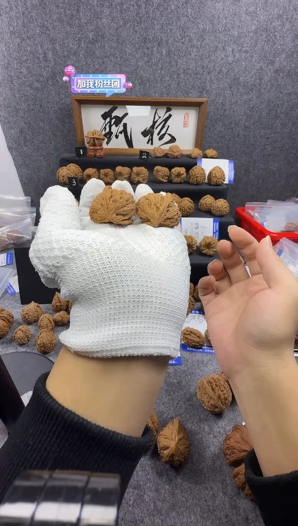 把件文玩核桃小*碳合体60半壁白狮子侧蛇