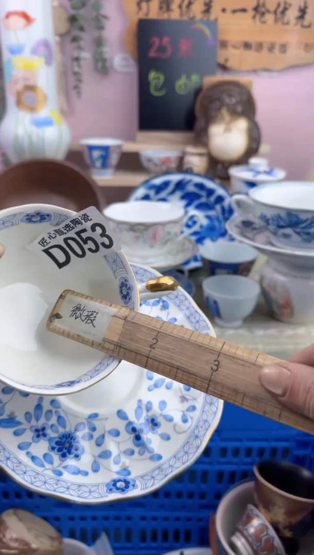 瓷片淡*     D053