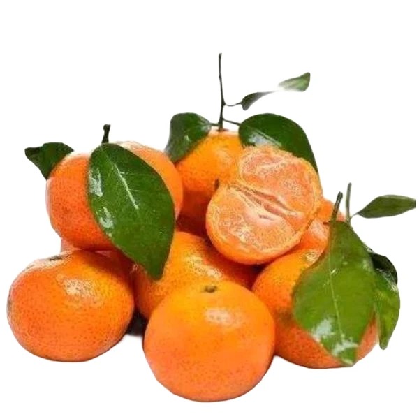 新鲜砂糖橘1斤左右