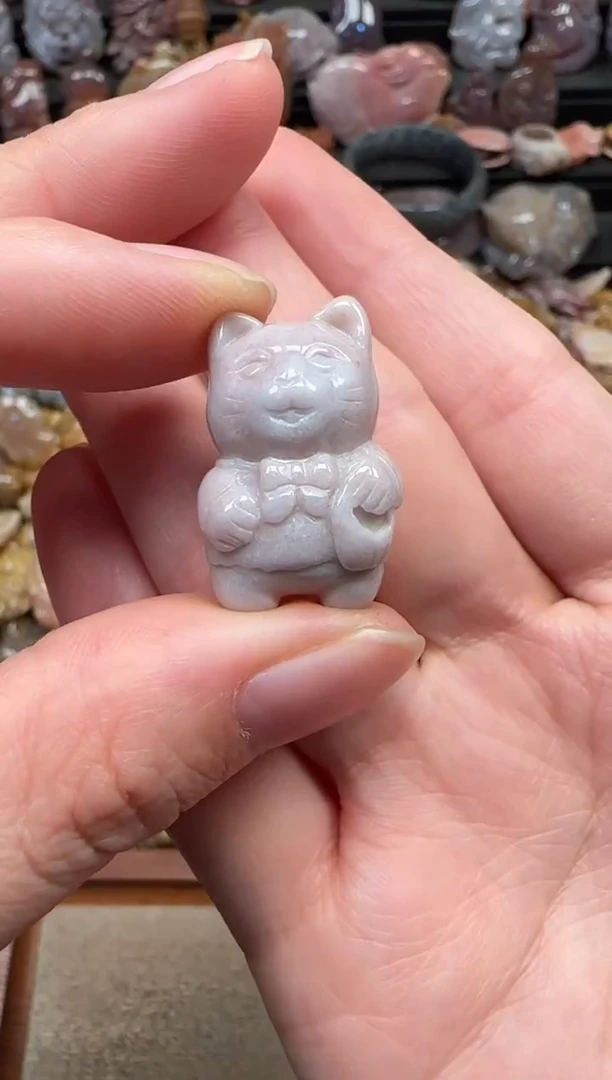 颈饰未镶嵌硅化珊瑚（珊瑚玉）069