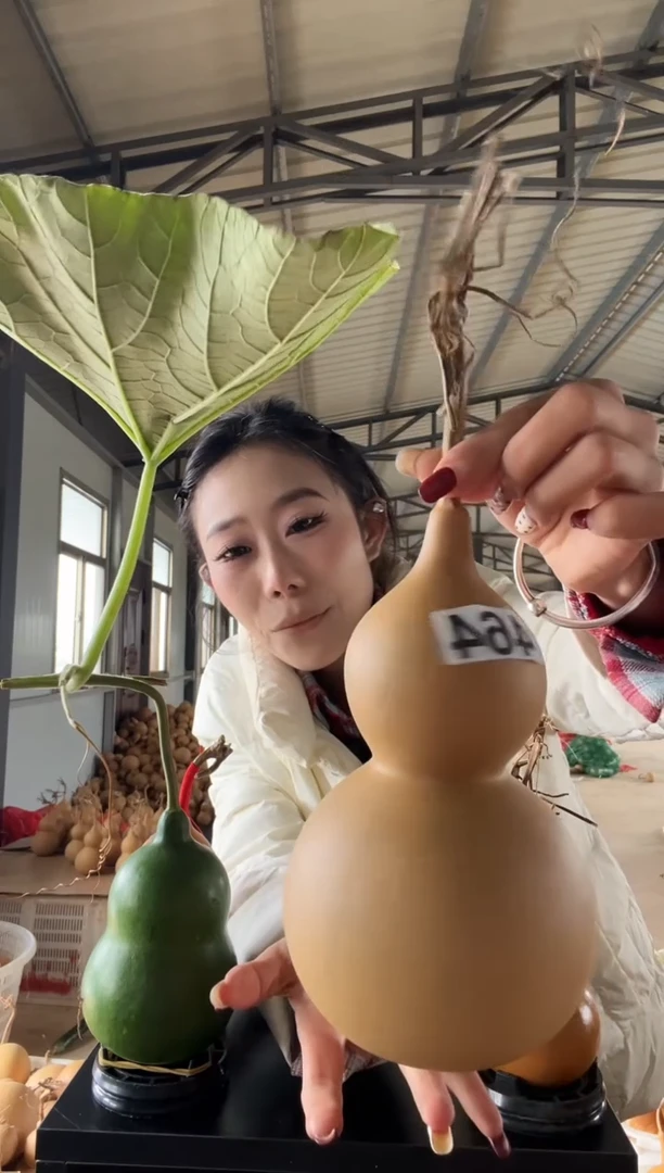 鸢464天然葫芦摆件 一物一拍龙头不保售后