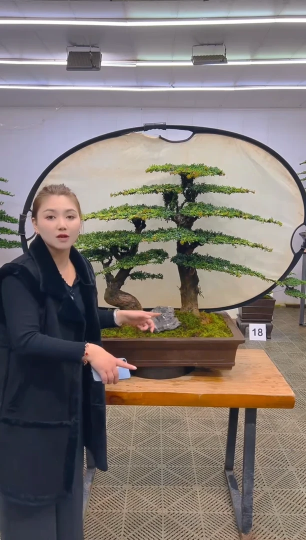 无花朵一物一拍一物一拍