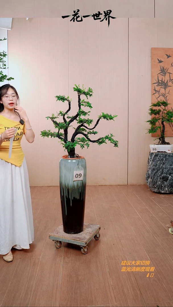 无花朵荡**心【闪购链接】09号链接