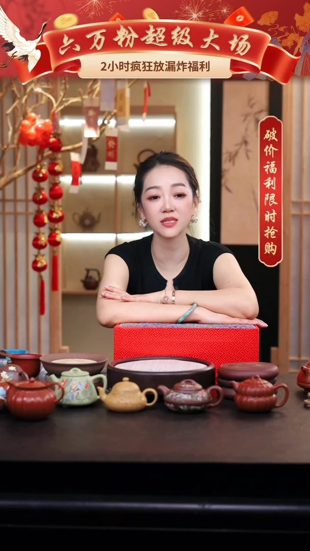 茶壶紫砂礼盒壶一把/016