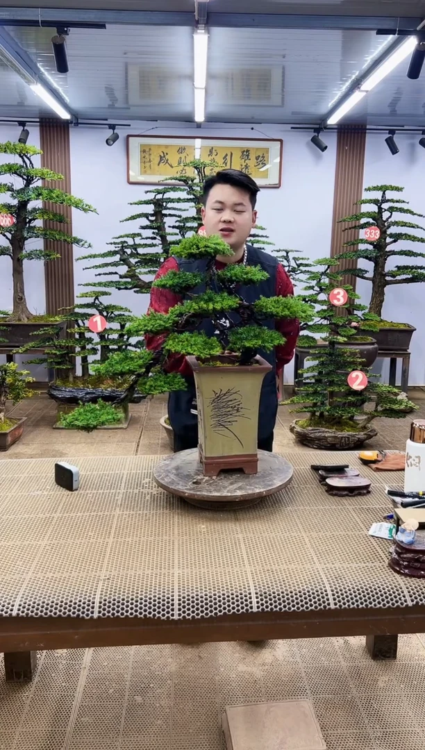 【闪购商品】0000000000