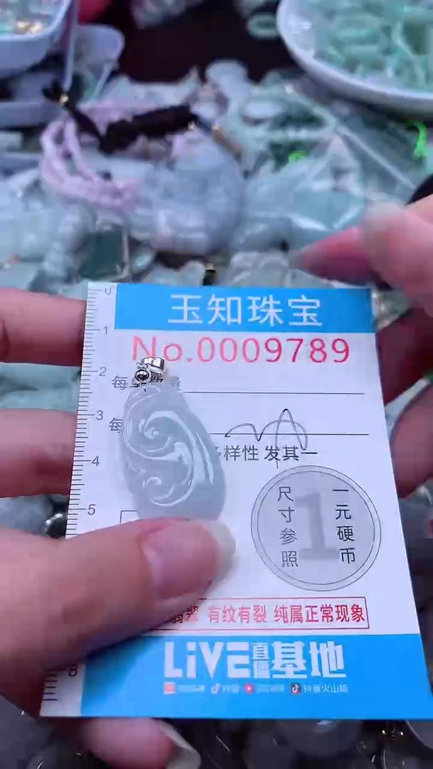 翡翠未镶嵌吊坠(不含链)9789