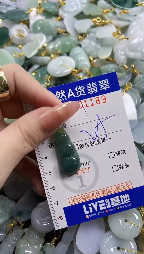 颈饰未镶嵌翡翠天然A货翡翠