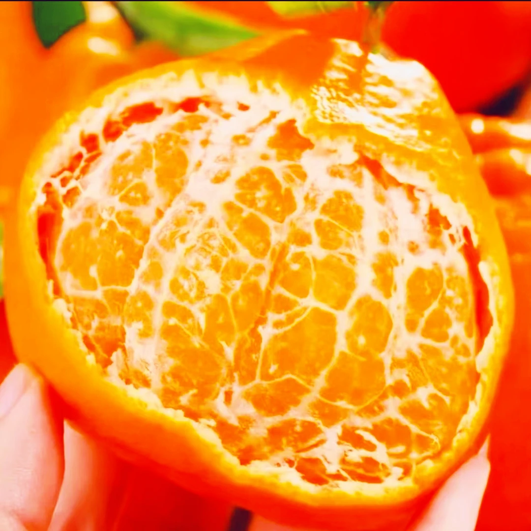 【助力农产品】四川春见耙耙柑整箱5/9斤