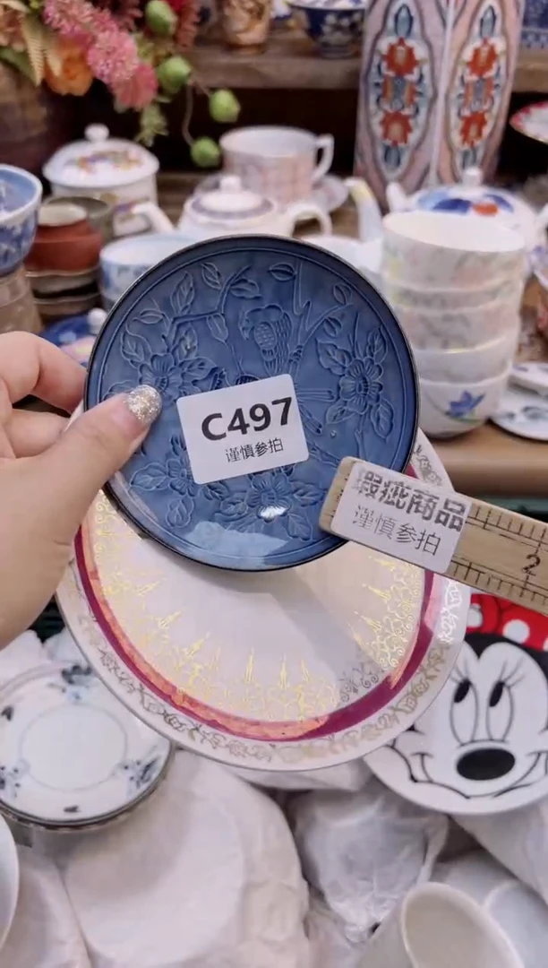 瓷片M****范       497