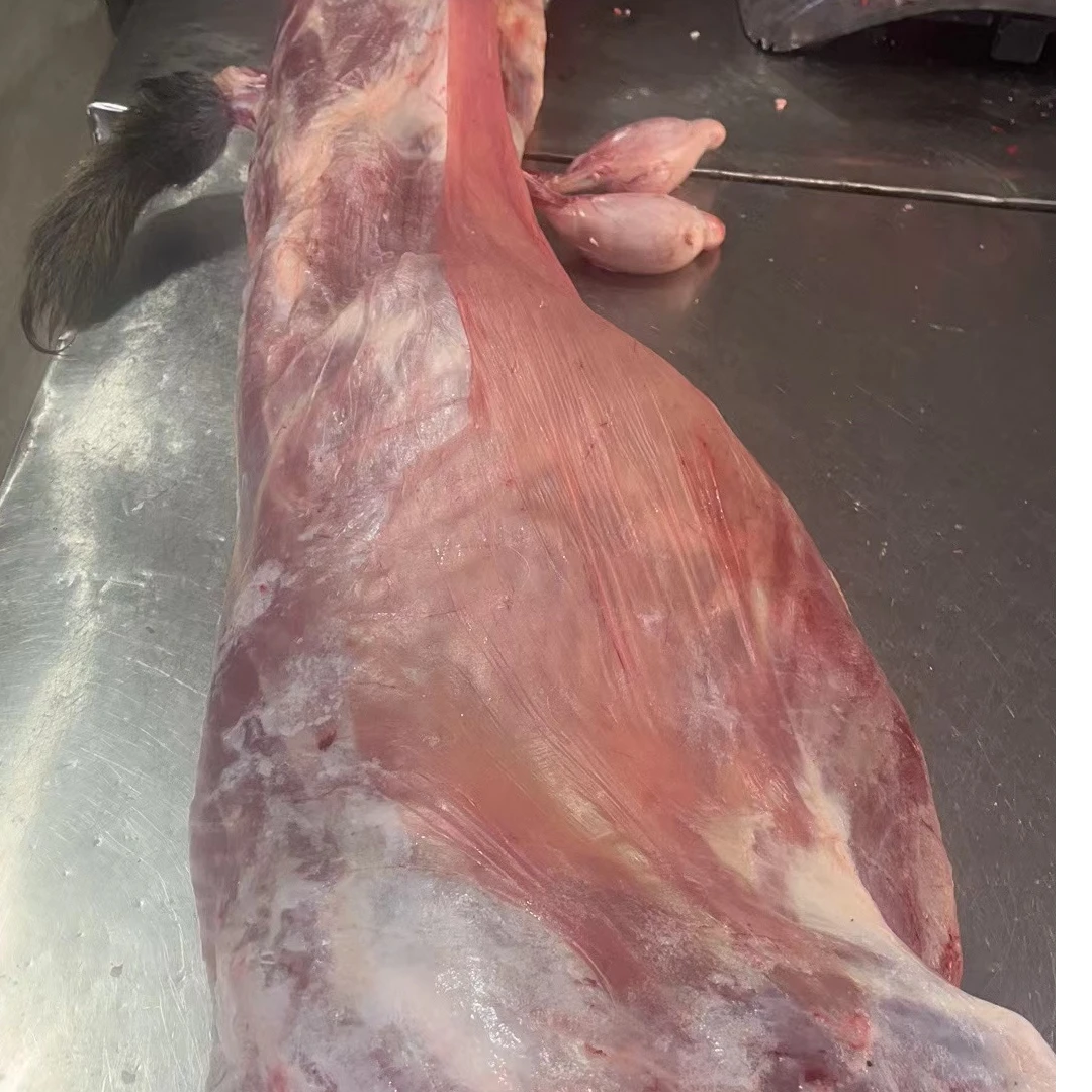 正宗农家散养白山羊新鲜现宰整只发货