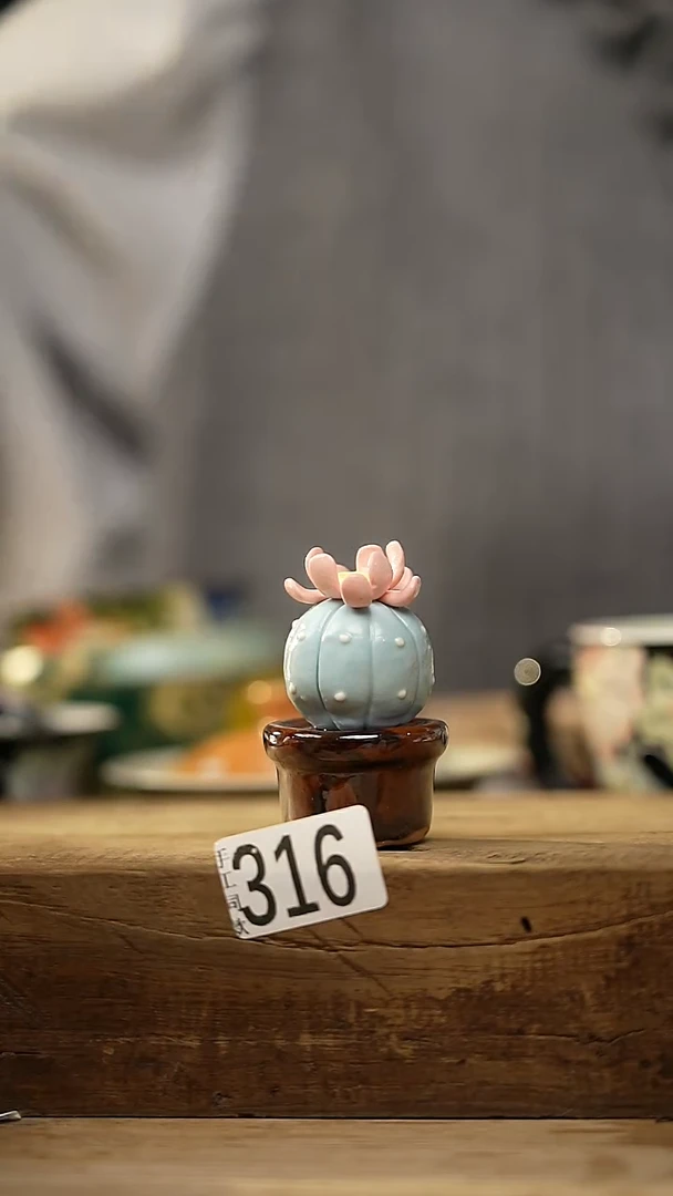 【闪购商品】瓷片新品！可爱仙人掌摆件/茶宠