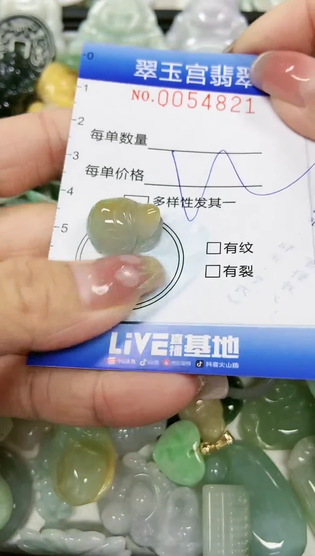 【闪购商品】翡翠颈饰未镶嵌闪购0054821