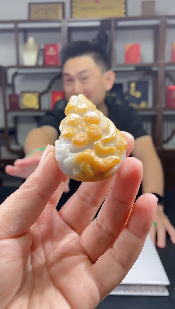 吊坠(不含链)未镶嵌翡翠天然A货翡翠多样性发其一JYZY-9.16-25
