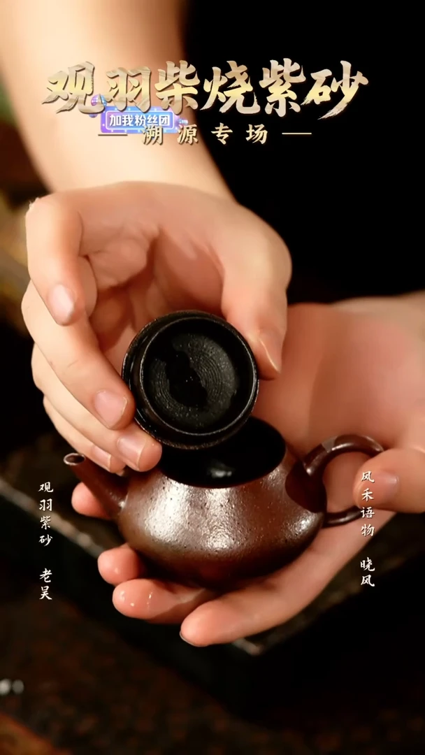 观羽 泡茶壶8号