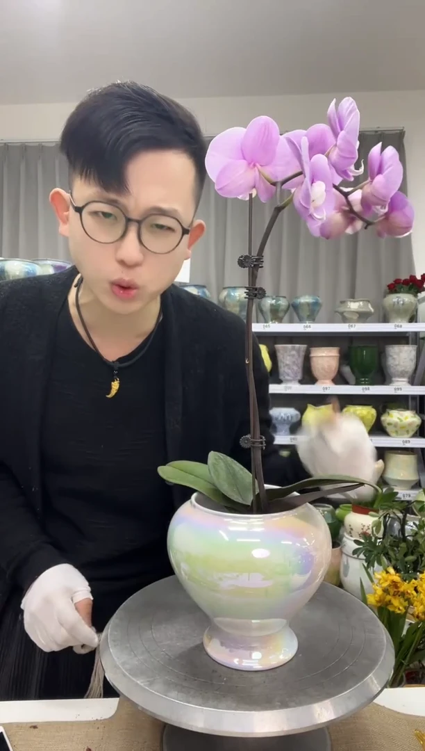 12.25陶瓷花盆直播链接高.   15   口10