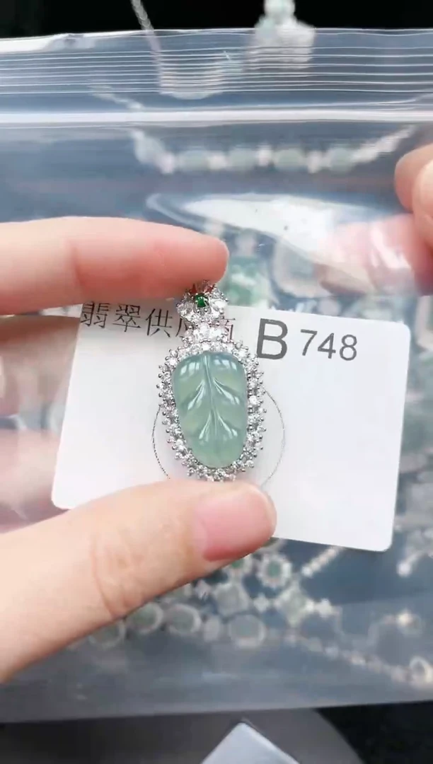 【闪购商品】翡翠颈饰未镶嵌748赠皮绳