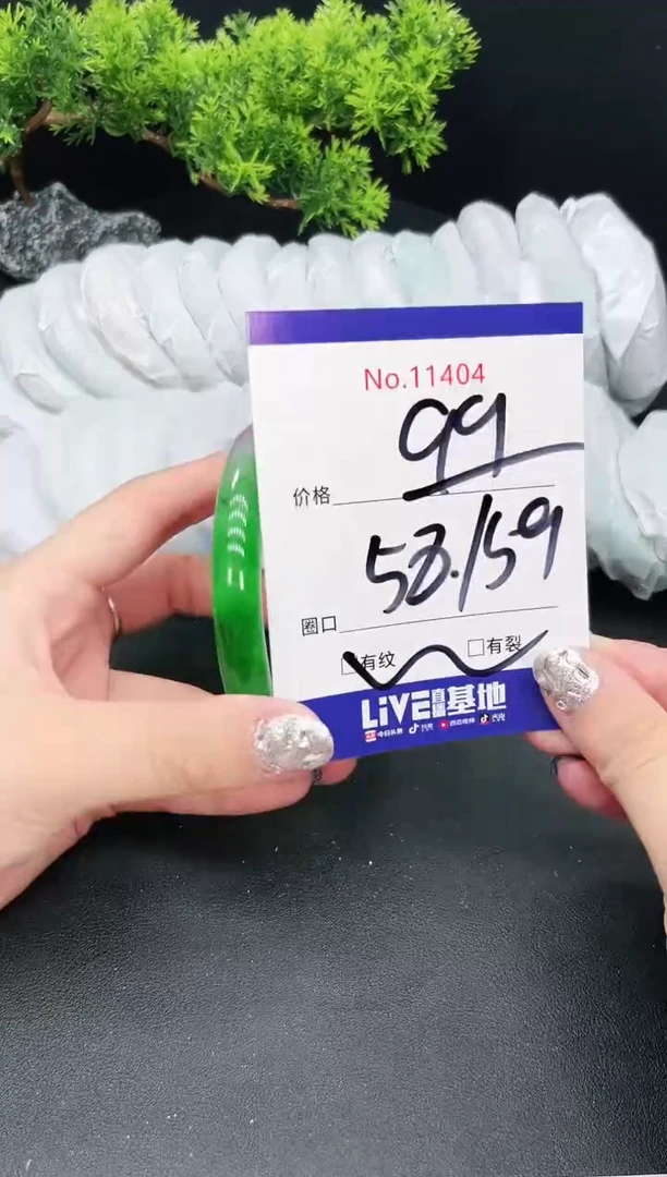 未镶嵌手镯翡翠11404