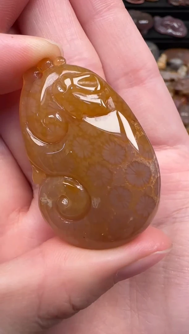 颈饰未镶嵌硅化珊瑚（珊瑚玉）136