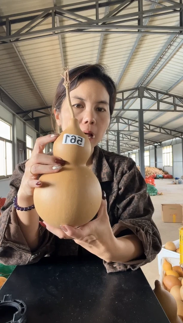 561天然葫芦摆件 一物一拍龙头不保售后