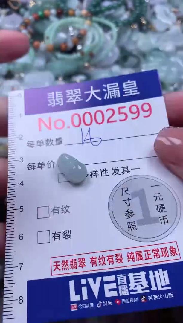 颈饰未镶嵌翡翠2599