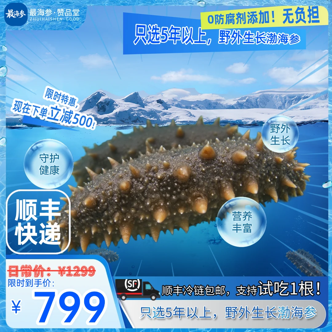 最海参即食海参 优选5年以上野外生长渤海海参500G*3  12-13cm/头