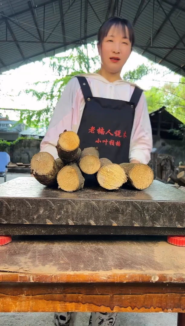 四川小叶桢楠金丝楠