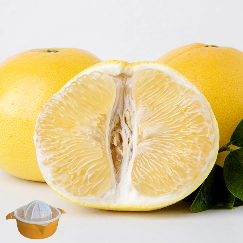 黄金葡萄柚4.5斤（含榨汁器）口感细腻清甜多汁