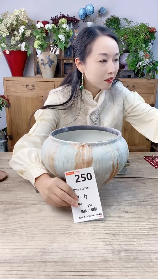 小玩子花盆直播号250