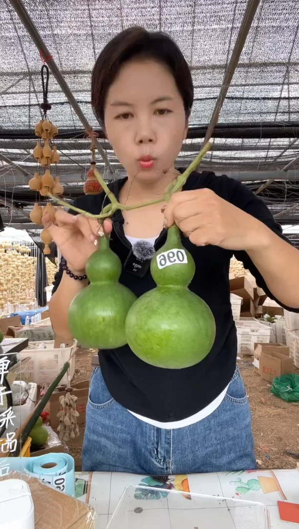 096天然葫芦摆件 一物一拍龙头不保售后