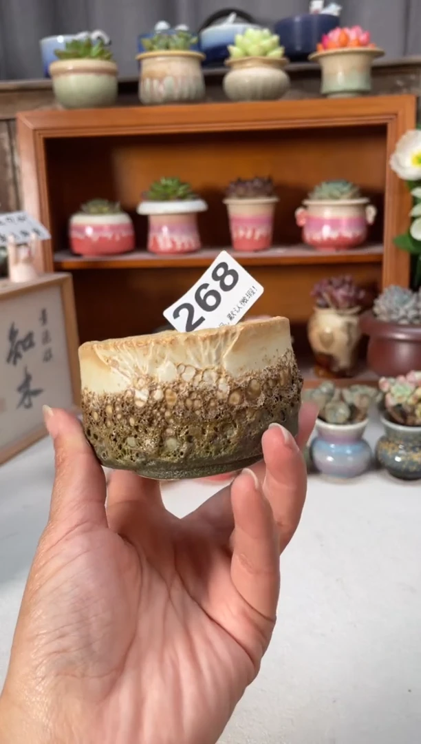瓷片268知木小芳花盆编号