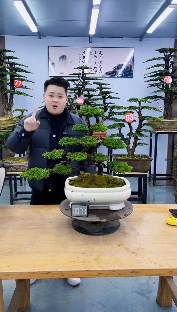 以实际为准0000000