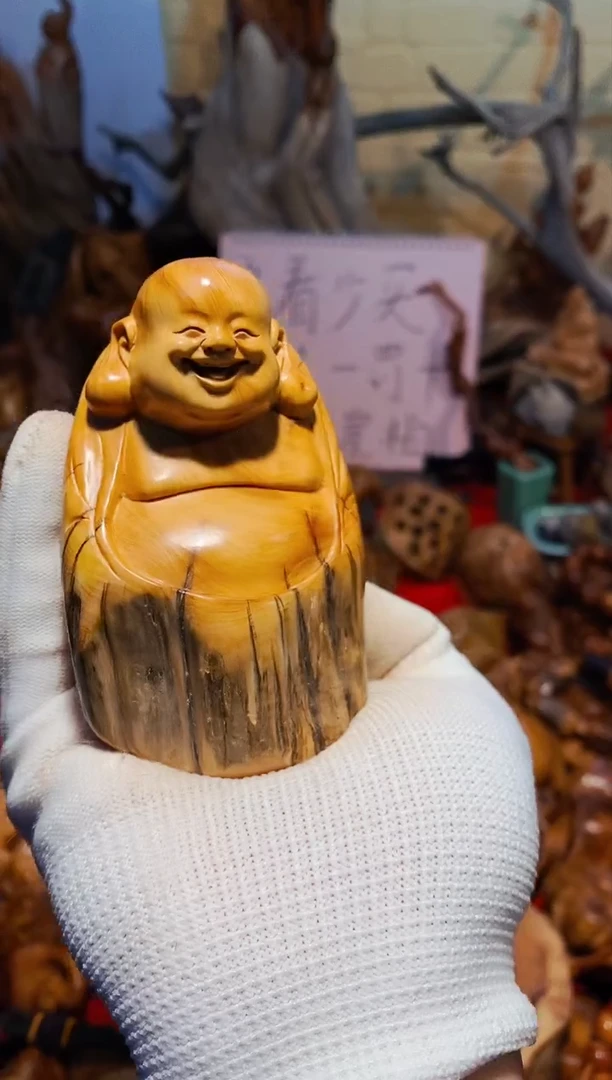 【闪购商品】柏木50崖柏崖柏崖柏崖柏崖柏