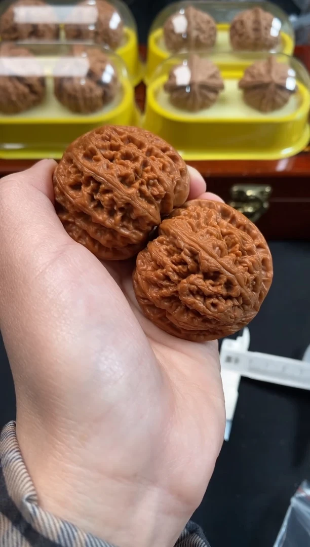 把件文玩核桃趙**山大粗筋43尺R863