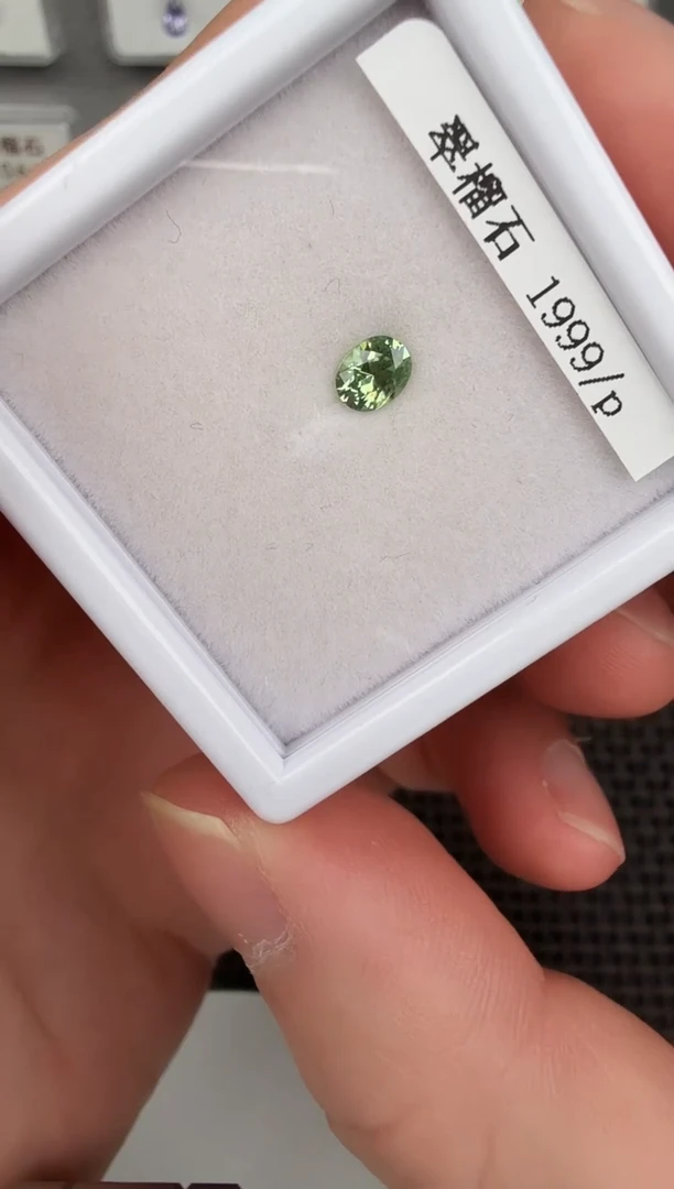 【闪购商品】石榴石裸石未镶嵌翠榴石-1p-B0B012273